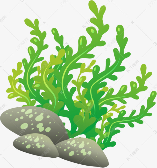 的海草的素材免抠海洋植物世界海洋日绿色植物海藻茂密海草舞动的海草