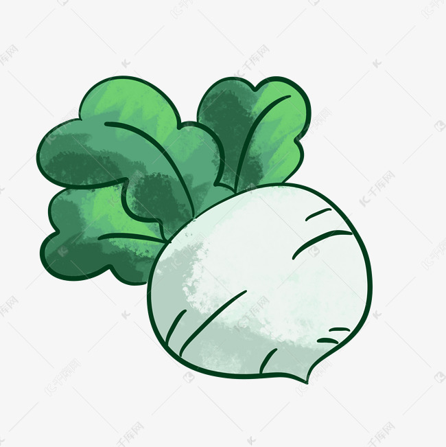 手绘新鲜蔬菜青萝卜线性