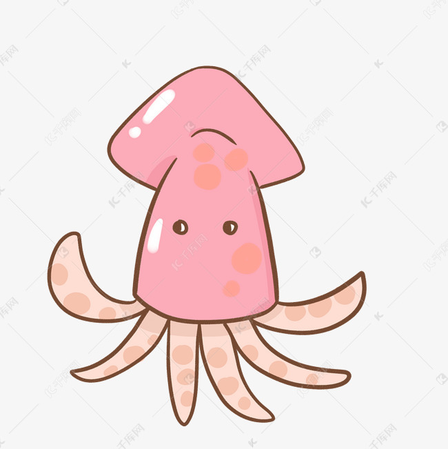 手绘海洋生物鱿鱼插画