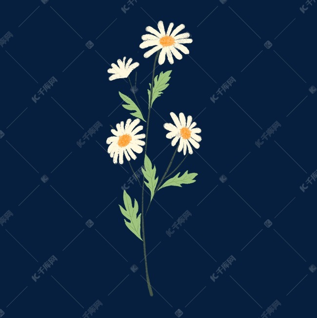手绘植物清新淡雅雏菊