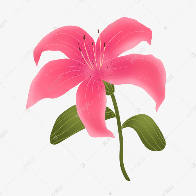 粉红色卡通唯美花朵