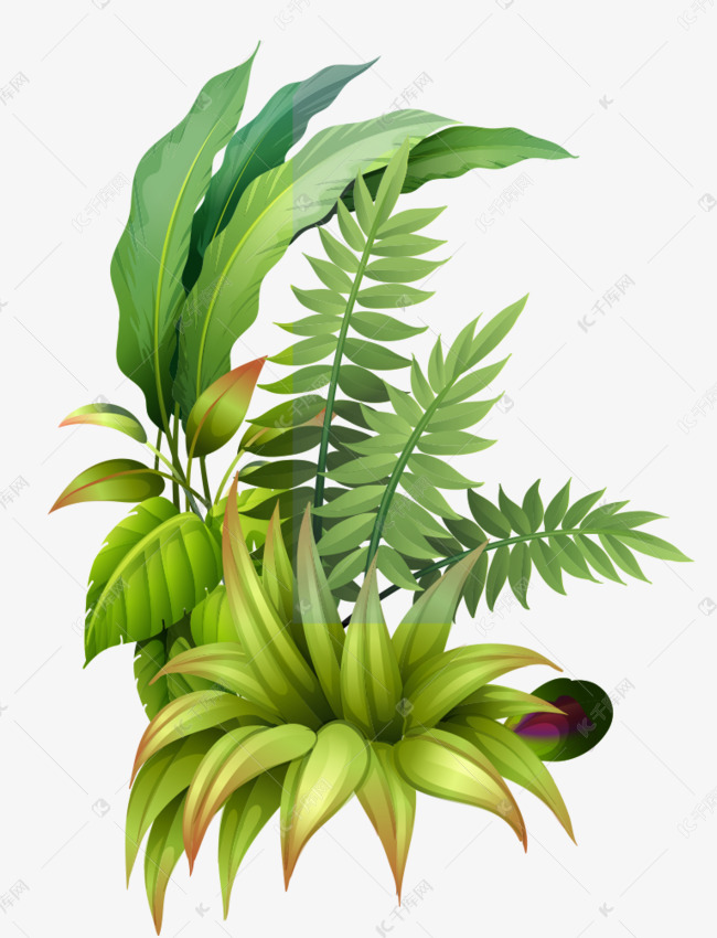 春季手绘草叶子装饰插画