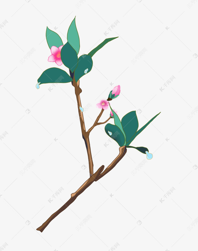 春雨鲜花手绘插画