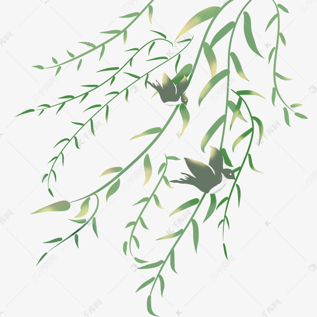 春天阳光照耀柳树插画png