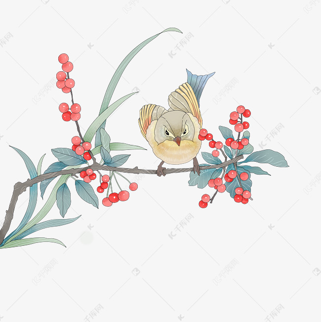 国画花鸟水墨工笔红果png
