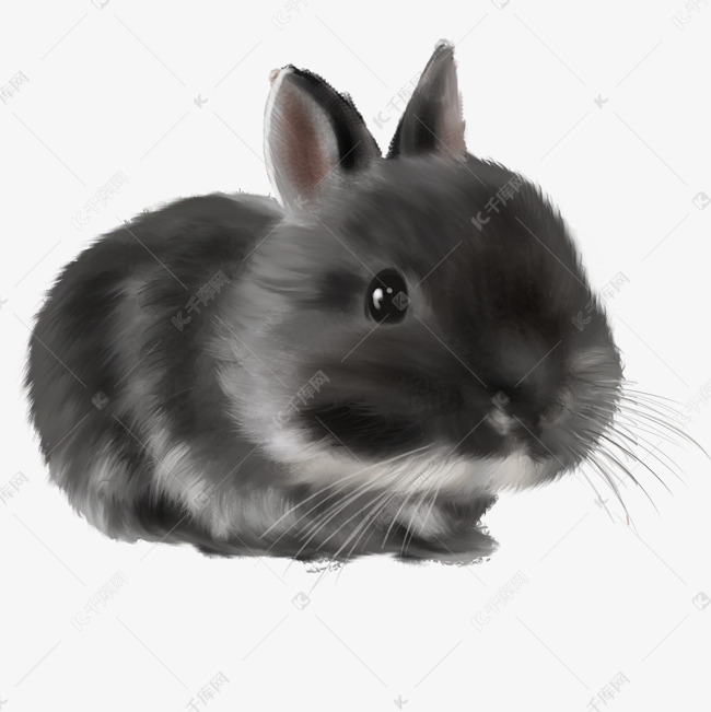 b0cc89ccc1e023a8e77c4a94b082c85b.jpg