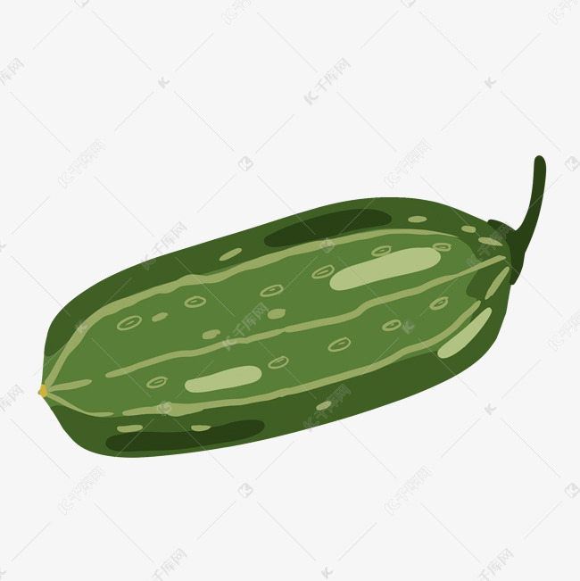 黄瓜蔬菜