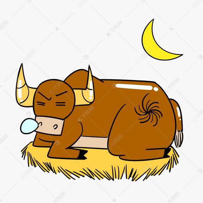 夜晚睡觉的牛