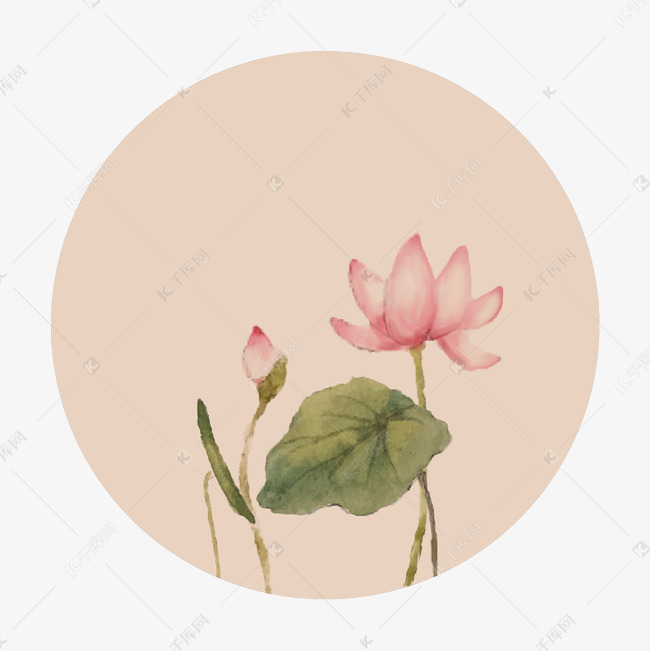 中国风古典古风荷花矢量图
