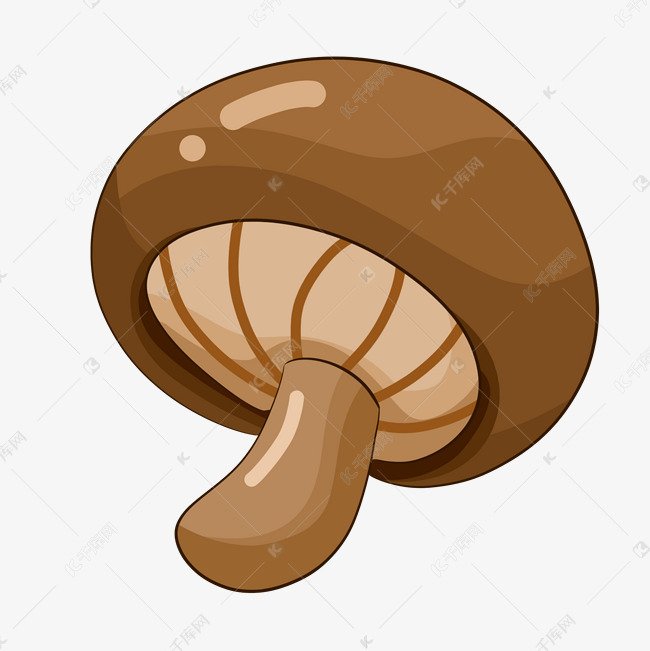 棕色咖啡色绿色食物榛蘑
