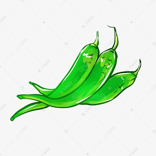 有机蔬菜绿色辣椒