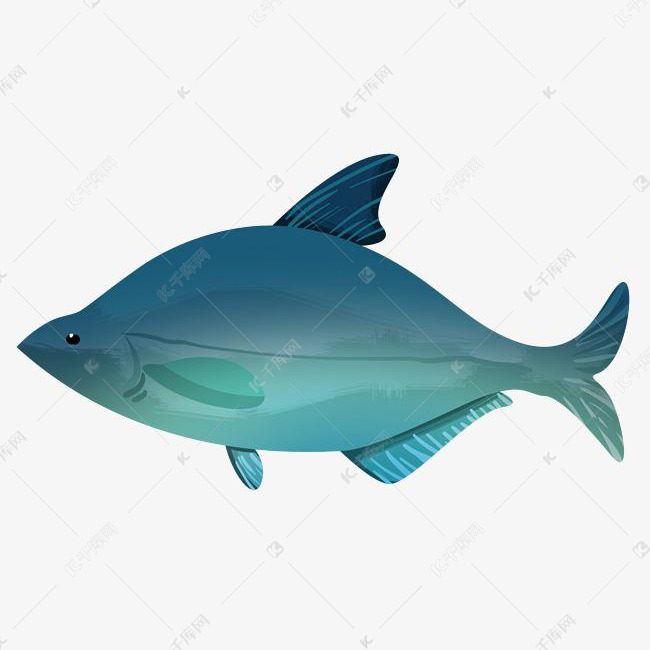 手绘海鲜金枪鱼插画