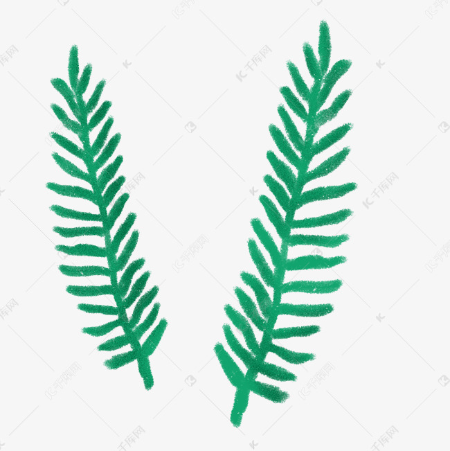 手绘水杉叶插画图案
