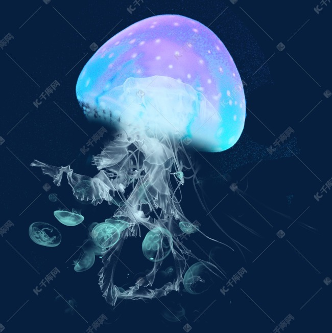 彩色海底水母乌贼元素