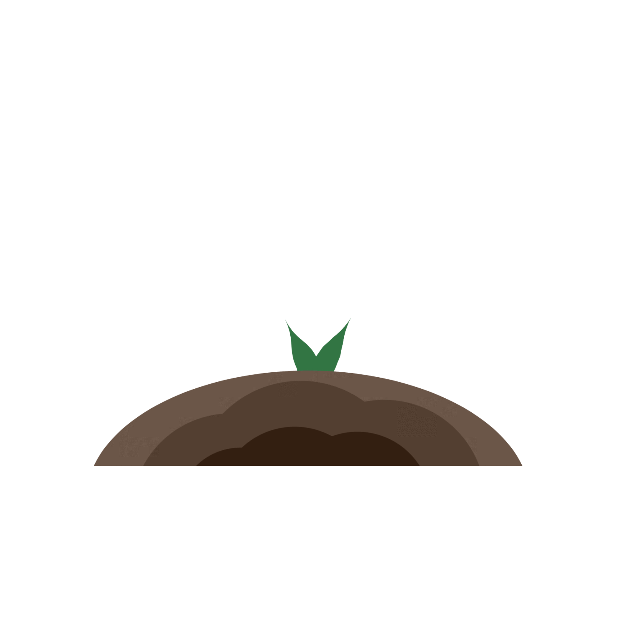 小花在土壤里开花gif动图