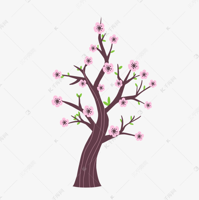 樱花树树木