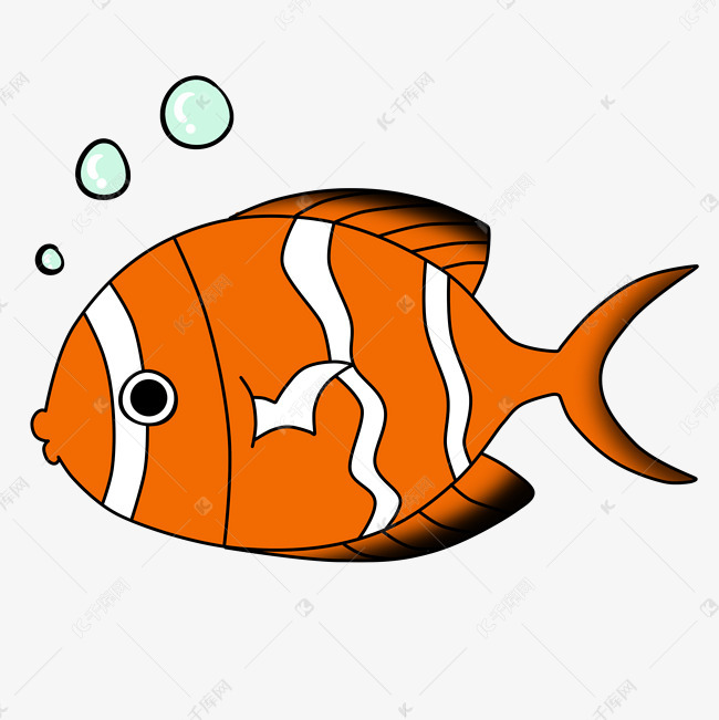 鱼类红色可爱橘红色海洋生物