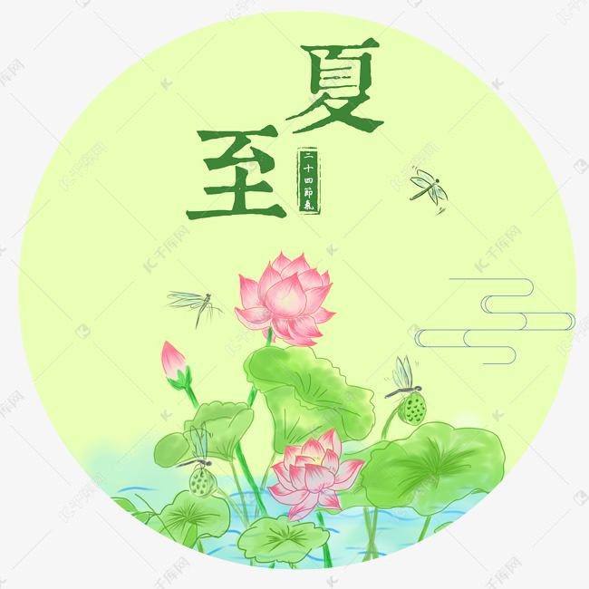 夏至中国风二十四节气手绘荷花插画
