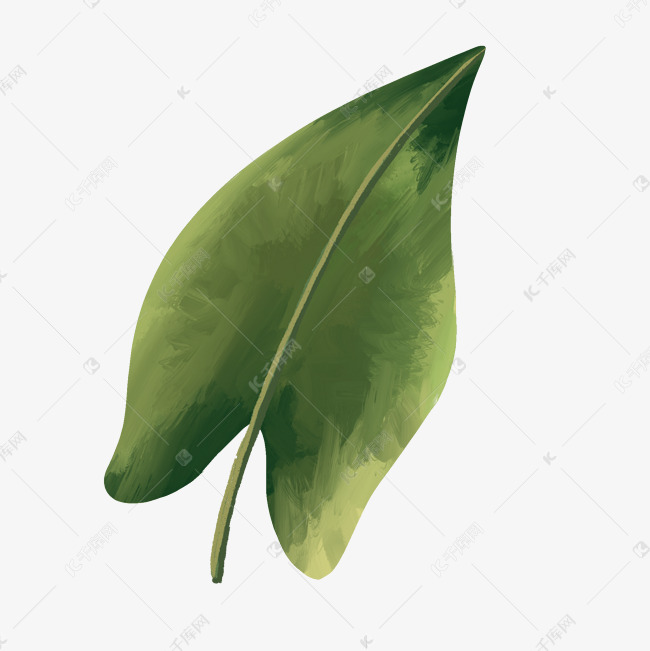 叶子绿色