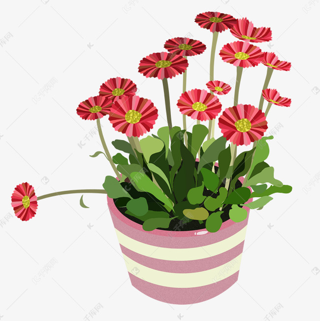 红色的小花盆栽插画