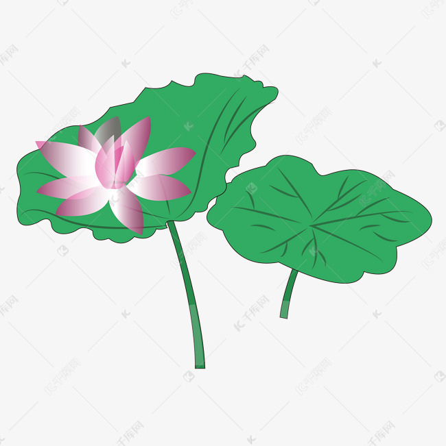 绿色的生态荷叶免抠图素材图片免费下载-千库网