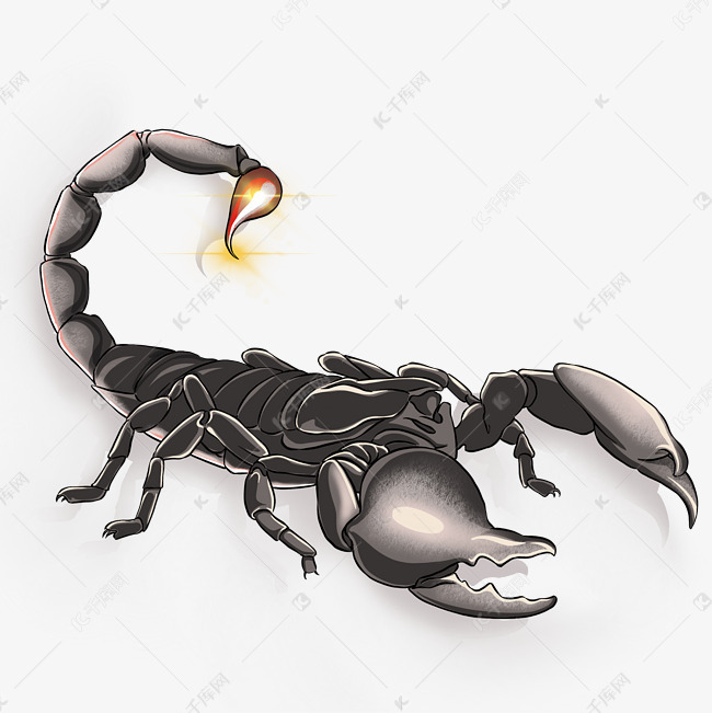 一只霸气又厉害的黑蝎子