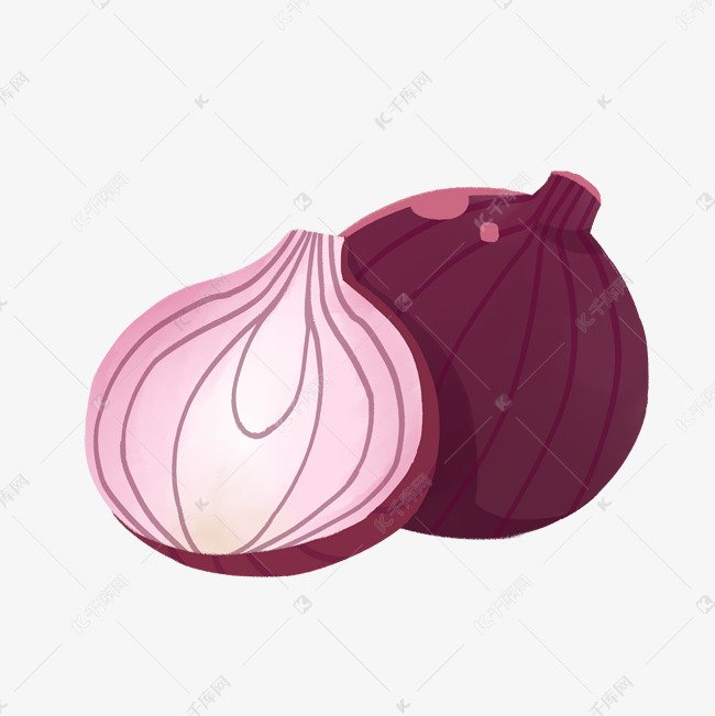 卡通美味洋葱插画