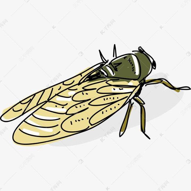 翅膀手绘风格彩色蝉