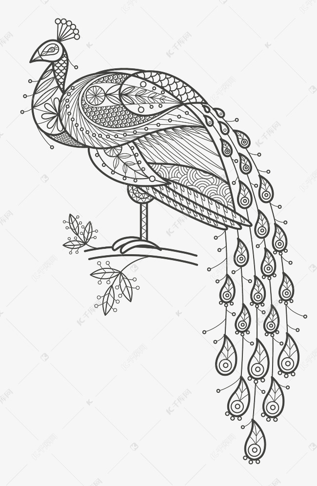 孔雀黑白图腾线稿的素材免抠树枝孔雀羽毛黑白图腾线稿