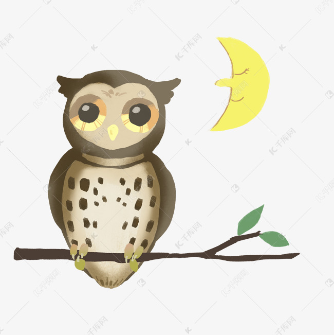 可爱猫头鹰睡觉插画