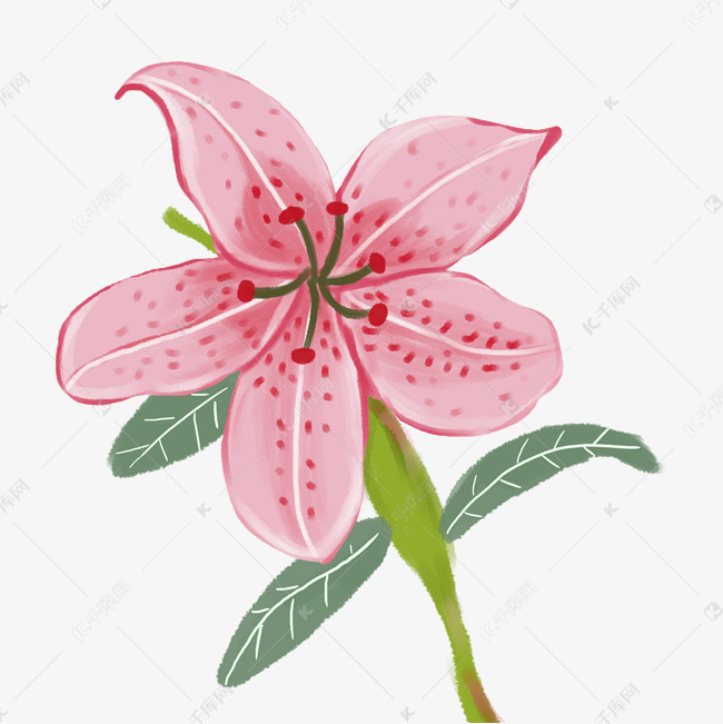卡通粉色百合花朵元素