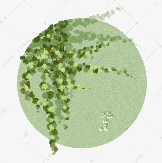 爬山虎                                        插画