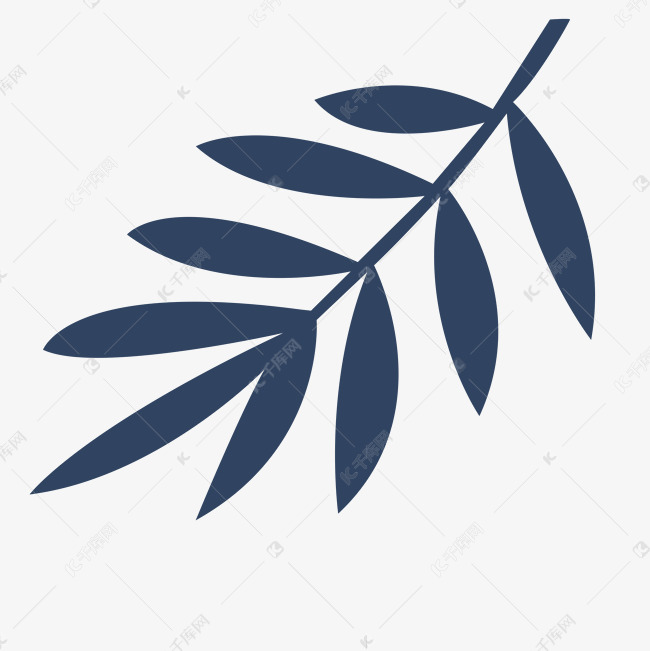 黑色叶子植物树叶