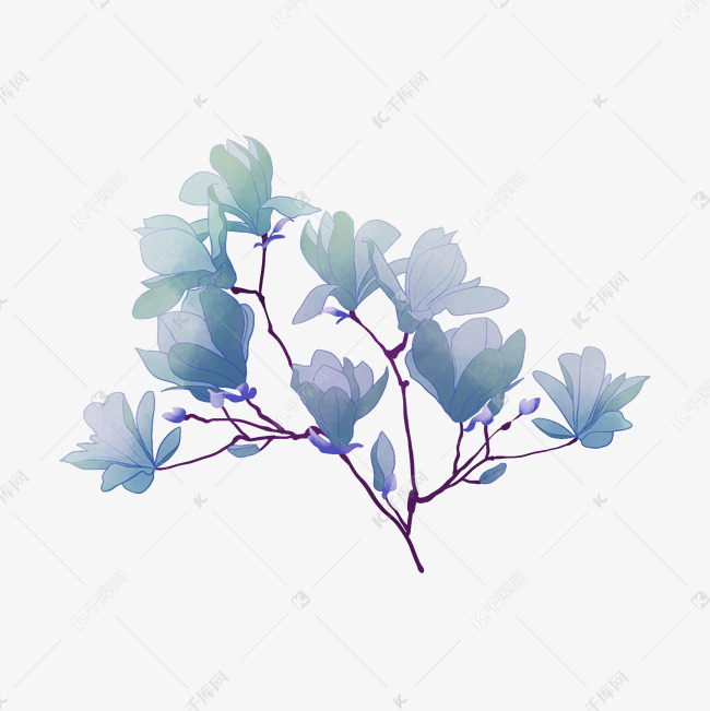 紫色的玉堂花枝插画