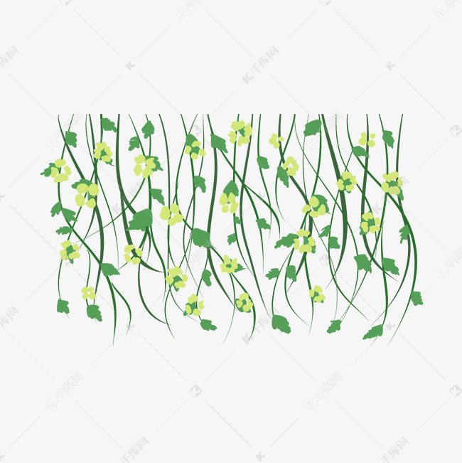 绿植长藤鲜花插画