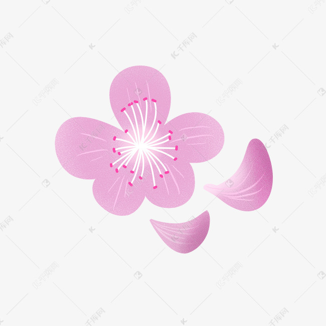 樱花花瓣插画 png图片