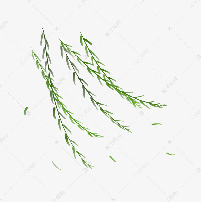 春分绿色小清新微风拂动柳树柳枝
