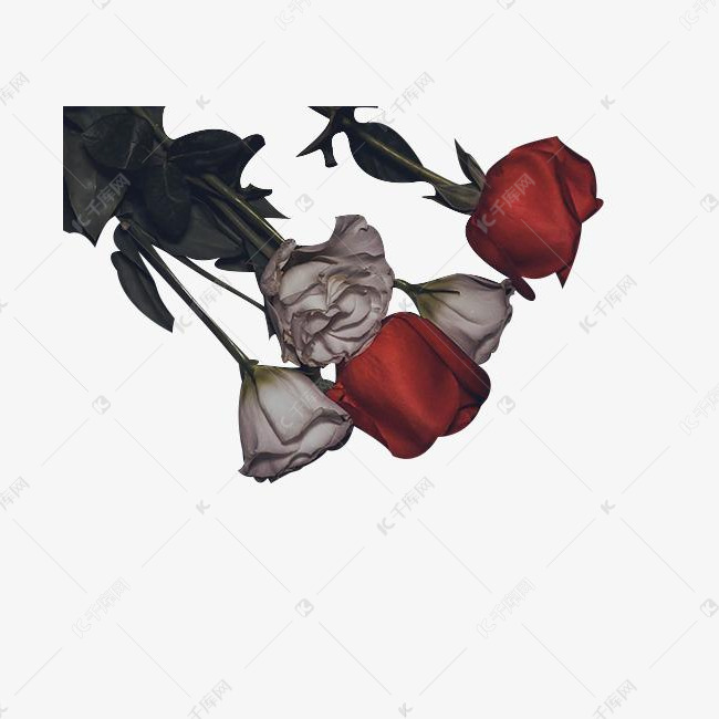 暗黑系红玫瑰和白玫瑰素材图片免费下载_高清psd_千库