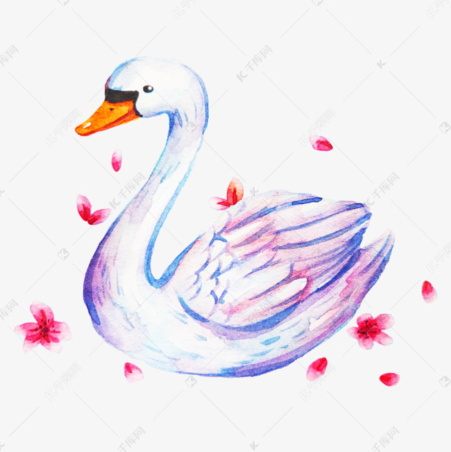 美丽天鹅卡通插画