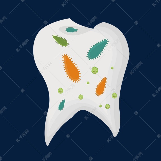 牙齿细菌微生物插图