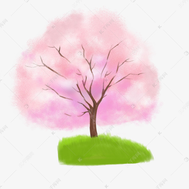 粉色唯美樱花树插图