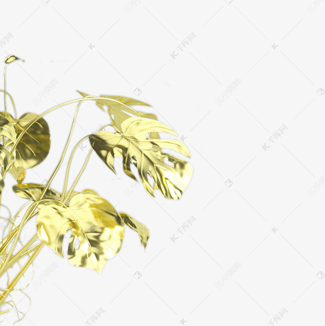 金色植物叶子