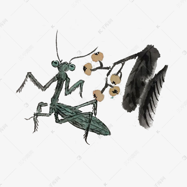 水墨昆虫螳螂手绘插画素材图片免费下载_高清psd_千库
