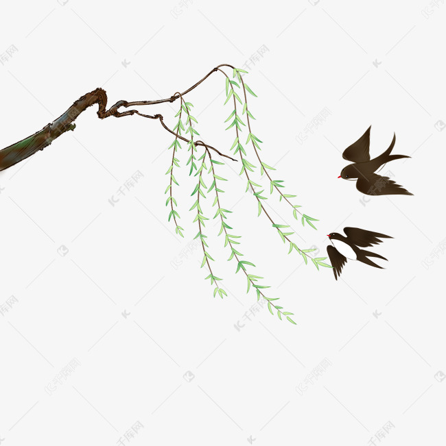 清明节柳树燕子png免扣装饰