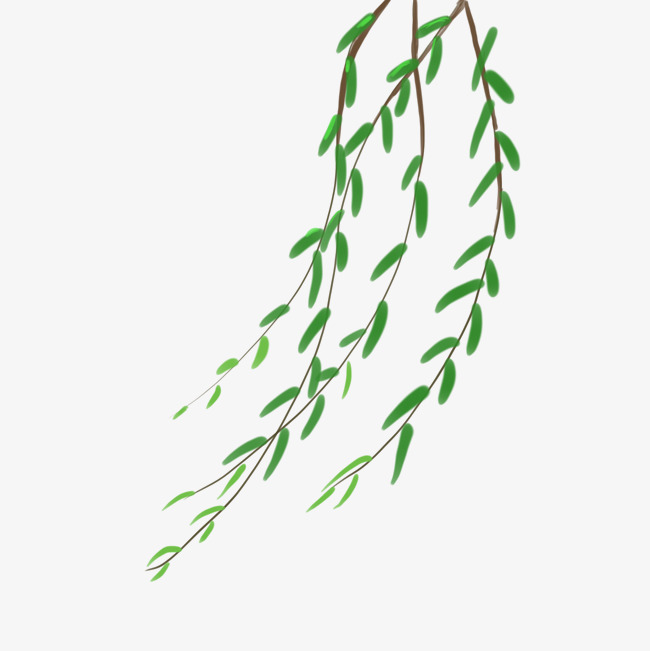 手绘彩色柳条素材