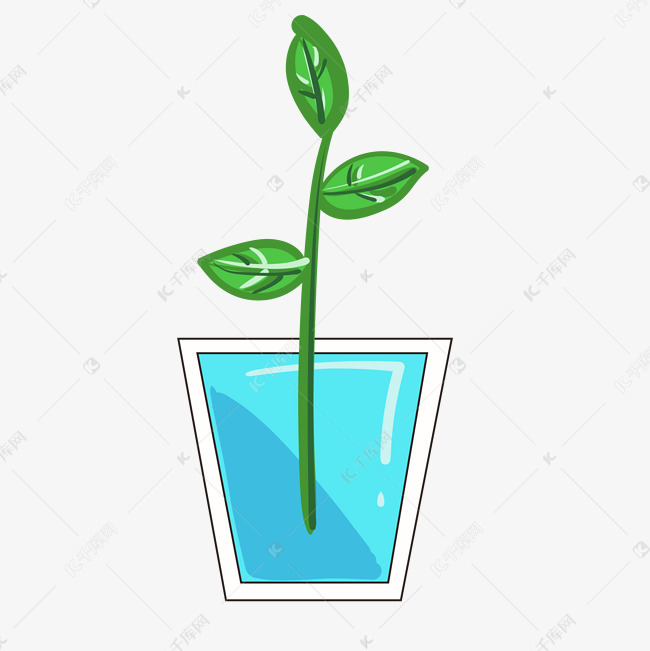 水培植物装饰插画