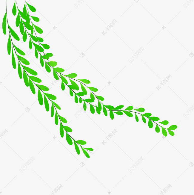 卡通手绘柳叶
