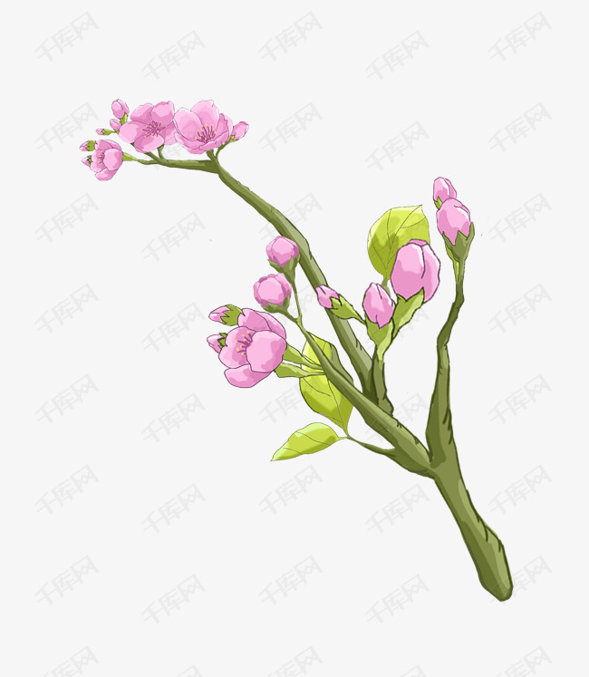 花束樱花花朵插画