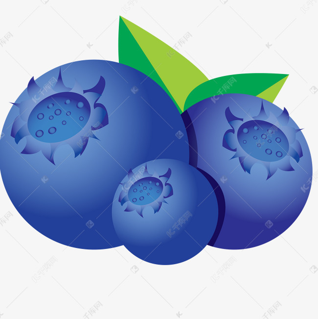 蓝色的水果食物插画
