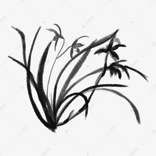 古风水墨画兰花插画
